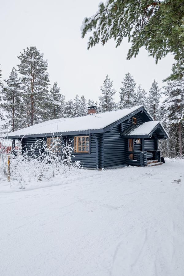 Holiday In Lapland - Levisalmi A 外观 照片